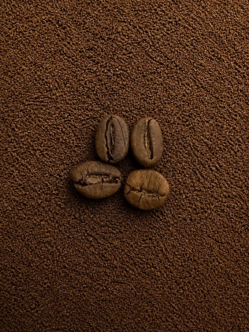 Robusta Gold