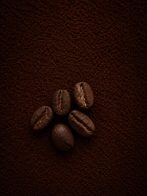 Sidamo
